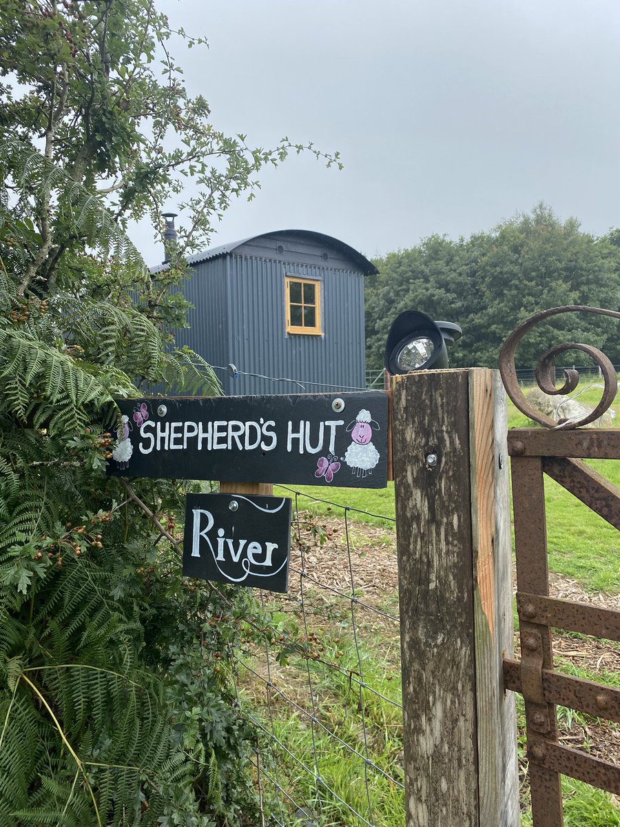 The Startup Poet tweet media