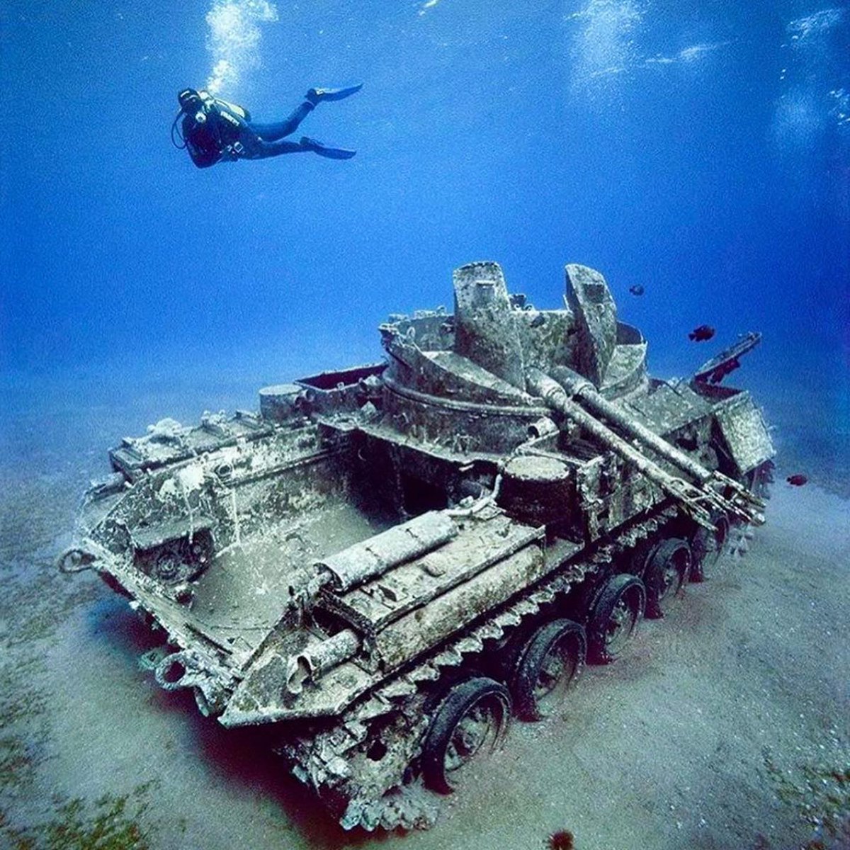 DannyBoy1968's tweet photo. NOTE TO SELF: Always remember to refresh your bucket list. Currently obsessing over diving in Aqaba, Jordan. #Scuba #AdvancedOpenWaterDiver #Padi https://t.co/5nMjFpjyfP
