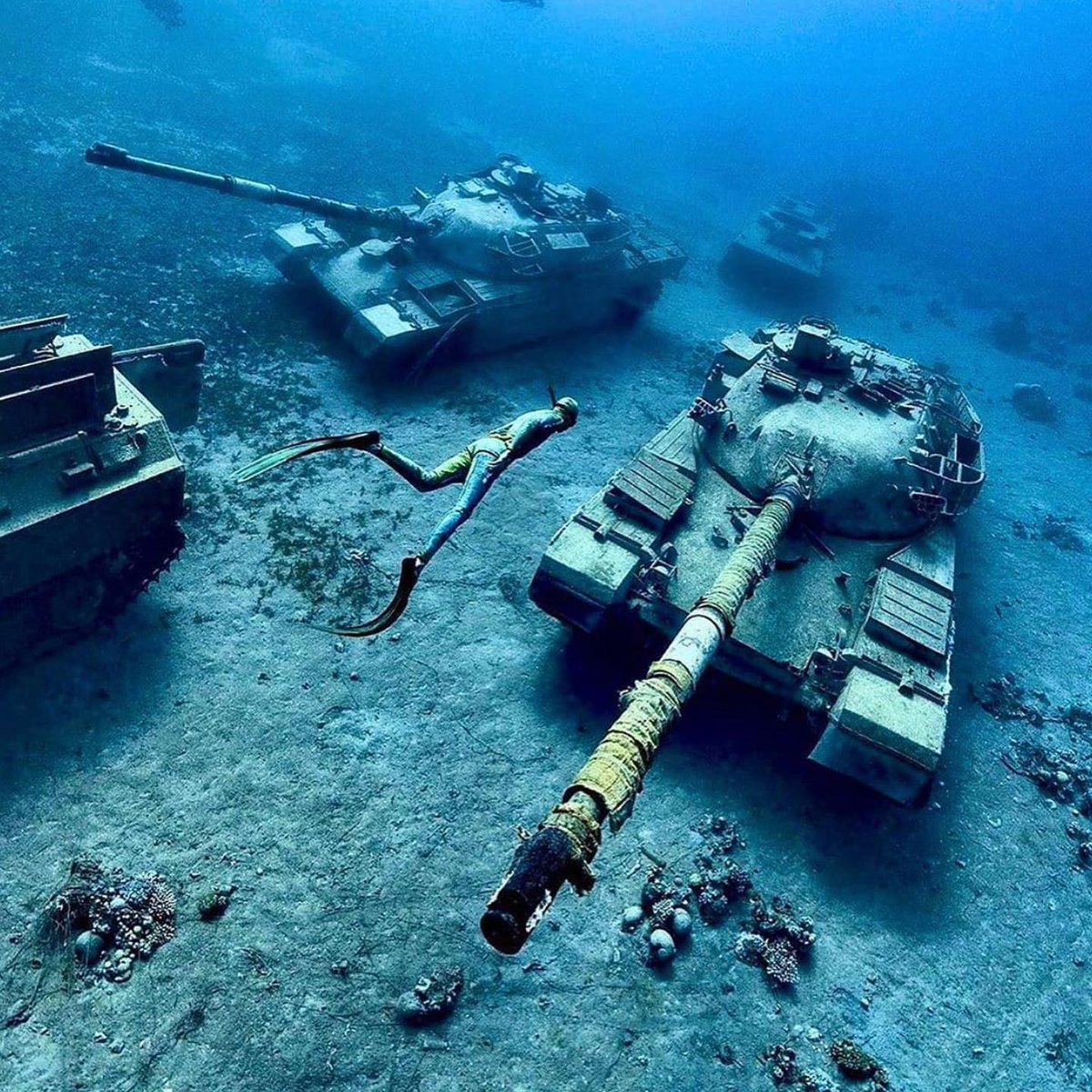 DannyBoy1968's tweet photo. NOTE TO SELF: Always remember to refresh your bucket list. Currently obsessing over diving in Aqaba, Jordan. #Scuba #AdvancedOpenWaterDiver #Padi https://t.co/5nMjFpjyfP