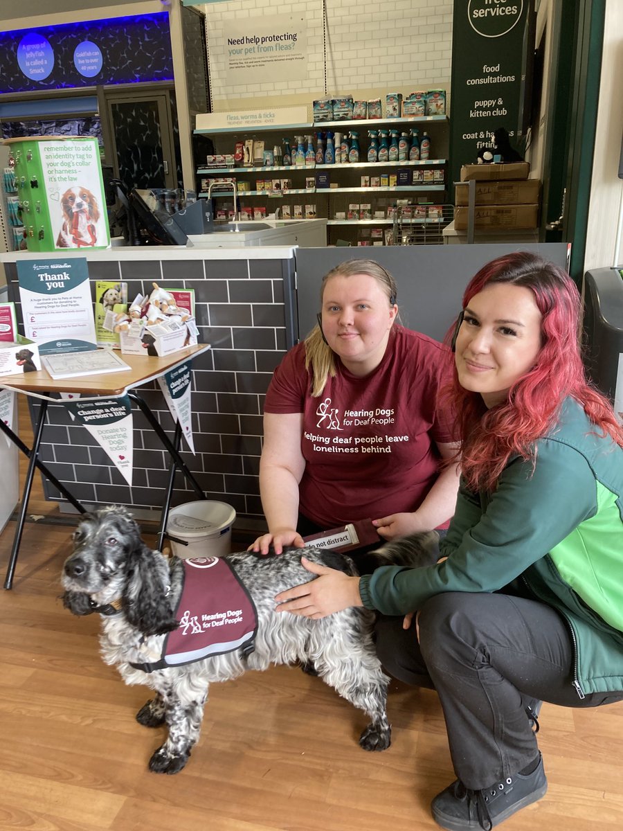 Margo Harrison tweet media