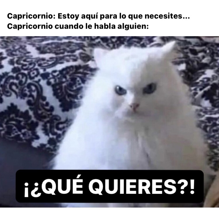 capricornio_hn's tweet photo. Sí somos 🤣 #capricornio #horoscoponegro https://t.co/N4U5fTVBcT