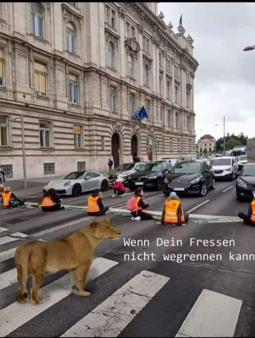 hans_klingen's tweet photo. https://t.co/PqIdZdrVuK