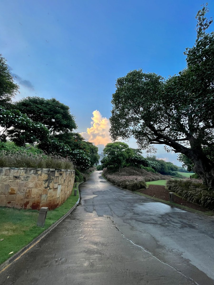 amritabhinder's tweet photo. Talk about a plot twist! The weather did a 180 and now it's serving up some serious eye candy.
Mother Nature, you sly angel, you. ๐ โ
๏ธ
#UnpredictableBeauty #WeatherWhiplash https://t.co/tvfRPXW1aF