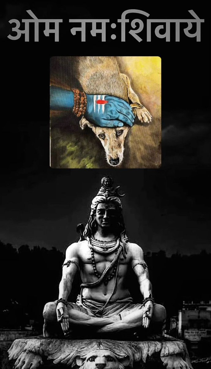 rekhasurya70352's tweet photo. #NoMore50 
#PMOIndia 
#NarendraModi 
#AmitShah 
#SaveLives 
#saveanimals
#saveearth https://t.co/8ssUSyFsoW