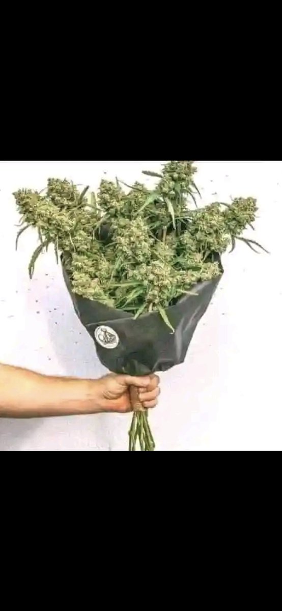 SkorchSupernova's tweet photo. Id like to give @EmteeTheHustlr_ the flowers he deserves for being 1 of SA's best hip hop and now comedy artists..... https://t.co/ddmvqcrU05