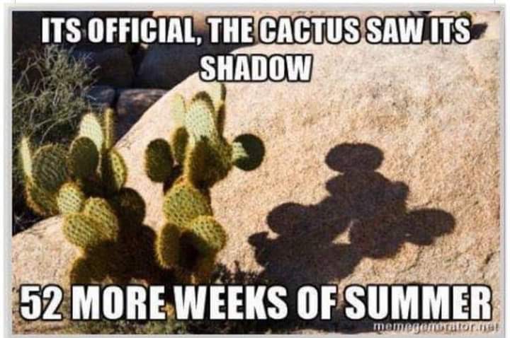 Celtic_Texan's tweet image. #Texas #sweltering