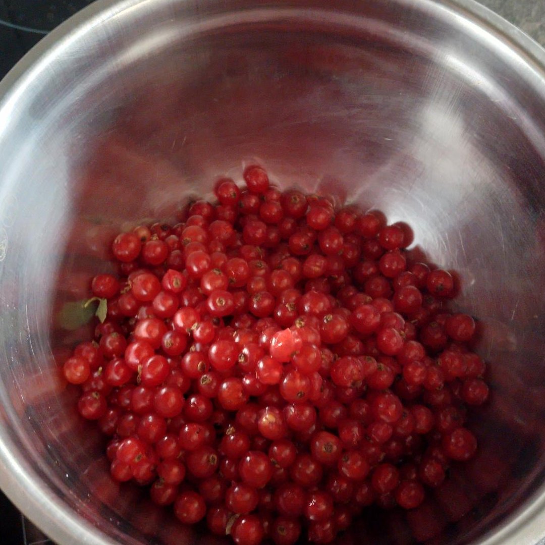 Schlafsheep's tweet photo. #Rumtopf Die heutige Ausbeute aus dem eigenen Garten an Johannisbeeren. Die werden jetzt gezuckert und gehen in den Rumtopf. https://t.co/hXniuUtCHV