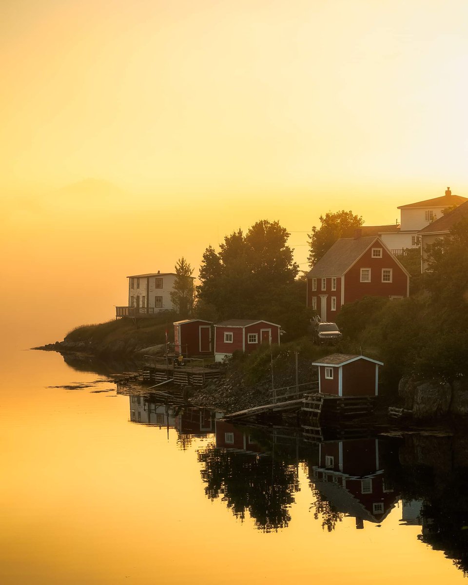 Golden foggy morning at Burin Newfoundland.

#newfoundland