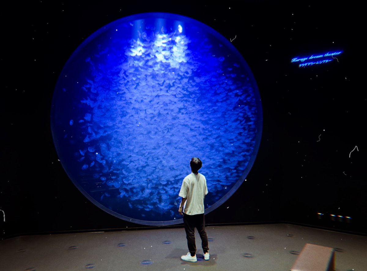 DylanHyper's tweet image. First video from Japan comes out in an hour 🚨

Can anyone guess what’s in the tank? 🇯🇵