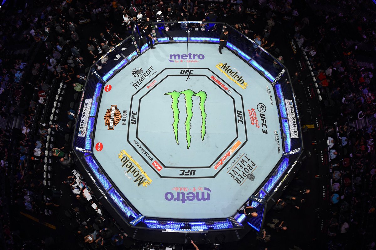 my favourite saying:

'fighters not allowed their own sponsors on shorts because it looks unprofessional'