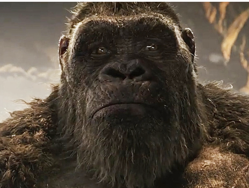 King Kong (@TheKingKongBSC) / Posts / X