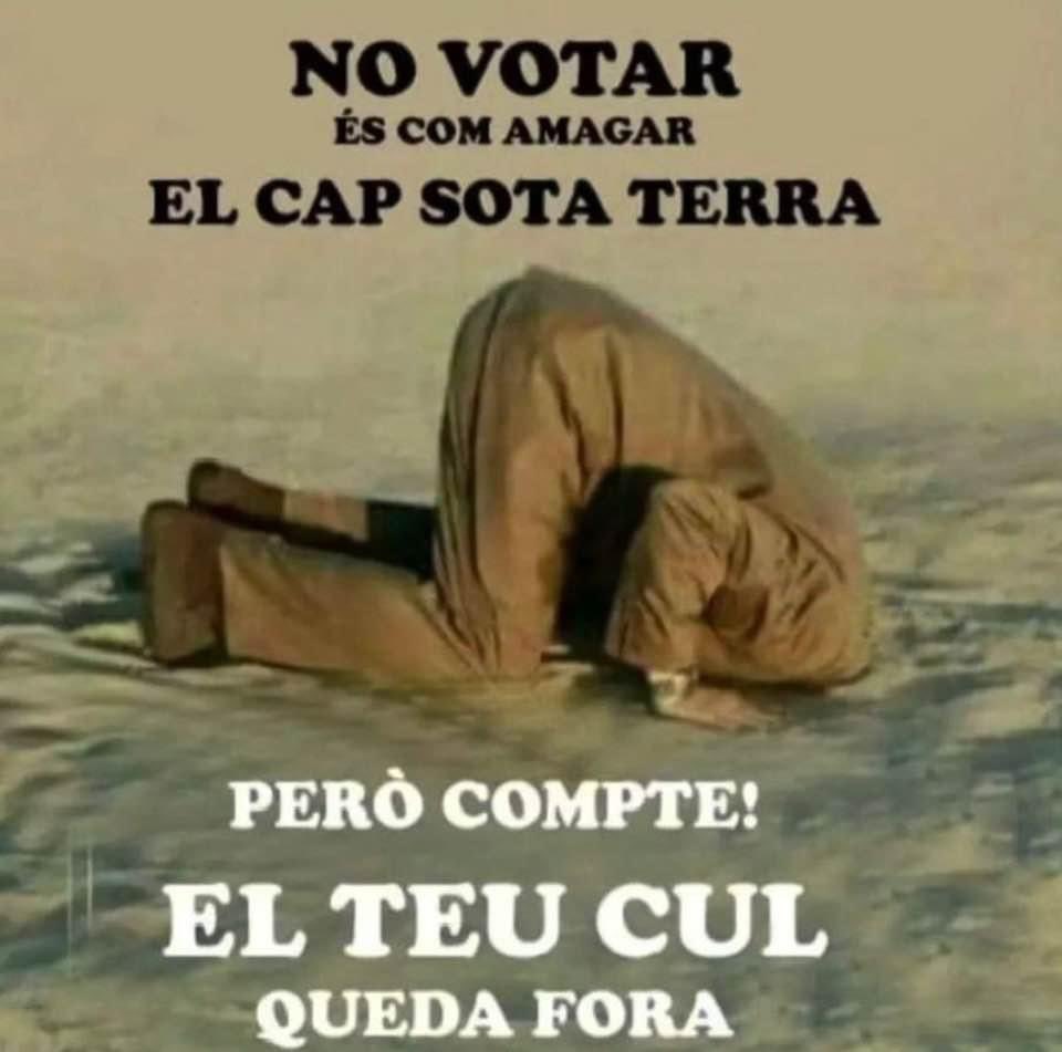 duduipa's tweet photo. @Popeta11 hi ha molt infiltrat unionista potenciant l’abstenció  , és un tret al peu de Catalunya que només no veuen els descelebrats q després s’estiraran del cabells i el q pitjor , continuaran criticant als polítics als q no els han votat ,desde el sofà https://t.co/Q7rQ4diyPa