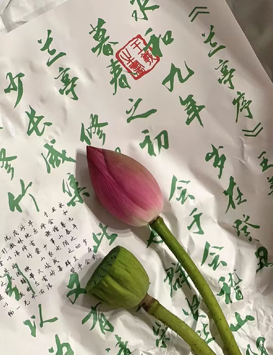 yangxiaolu_amy's tweet photo. 夏日荷花。一直有粉丝问我在哪里写小说，我去过的平台挺多的，晋江、起点，还有一些比较小的网站都写过，最近考虑转型去豆瓣。至于怎么找我的小说，只能说我目前还不想把推特上的我和作为网文写手的我联系起来，所以只能抱歉了 https://t.co/KmvbocMbeo
