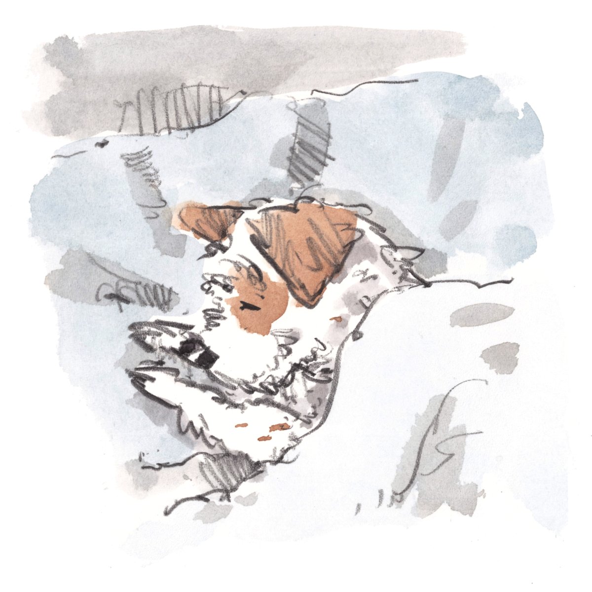 iaindwelch's tweet image. I hope that you are having a really lovely day so far, lovely people and lovely dogs.
It is napping weather here. 
I'm wishing you the very best for the rest of your day. 
#hoorayfordogs #napping #rainyday