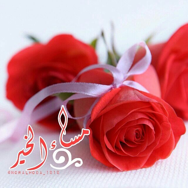 مساء_الحـب ♥

القلوب المليئة بالحب 🕊️
والاحترام والجمال والطيبة 
مــساء الامل #للقوب النقية 🤍

مساء_الخير_والسعاده_للجميع