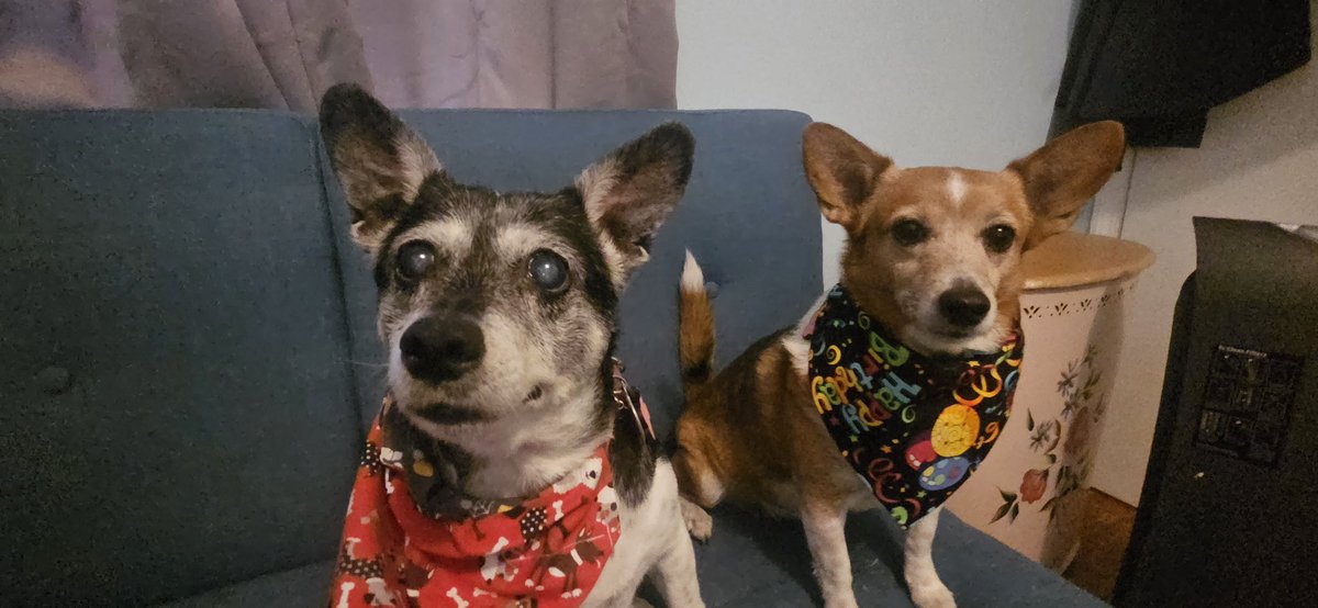 Angel Samantha Chichi tweet media