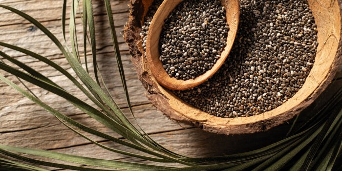 Coach Poids Sante tweet media