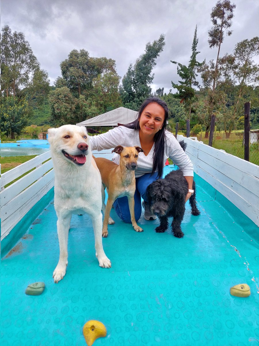 Angiepr84's tweet photo. @BravissimoCity #bravissimo2023 les presento mis muñecas..Nala,Maya y Sarabi https://t.co/JxqavIOUIQ