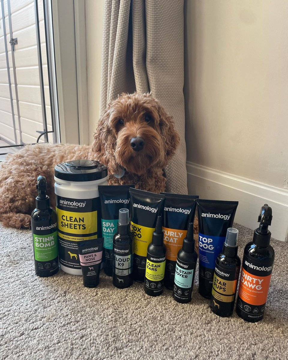Fudge was the lucky winner of our competition in May with <a href="/petrebellion/">Pet Rebellion</a> - here he is posing with his new Animology goodies!!

Congratulations Fudge!

📷 @fudethecockapoo