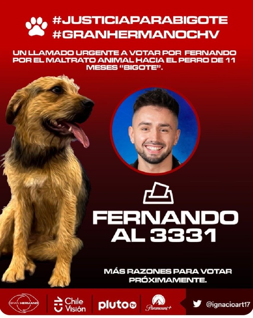 @benjamiran YA  CABROS A VOTAR NOS QUEDAN POCAS HORAS,  DÉMOSLE PALIZA
FERNANDO AL 3331
FERNANDO AL 3331
FERNANDO  AL 3331