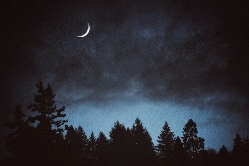 Archillect (@archillect) on Twitter photo 