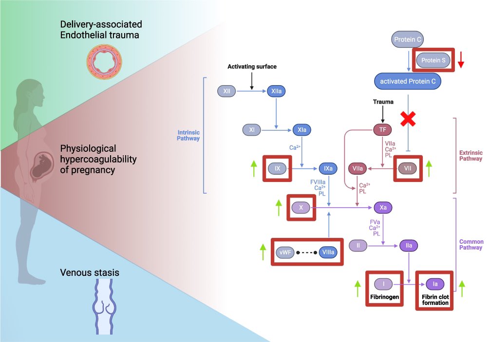 Michail Spanos (@michail_spanos_) on Twitter photo Collaboration meets innovation in our latest work on challenges and solutions for #VTE in pregnancy with <a href="/DimitriVarrias/">Varrias Dimitrios</a> . doi.org/10.2147/VHRM.S… Collaboration meets innovation in our latest work on challenges and solutions for #VTE in pregnancy with <a href="/DimitriVarrias/">Varrias Dimitrios</a> . doi.org/10.2147/VHRM.S…