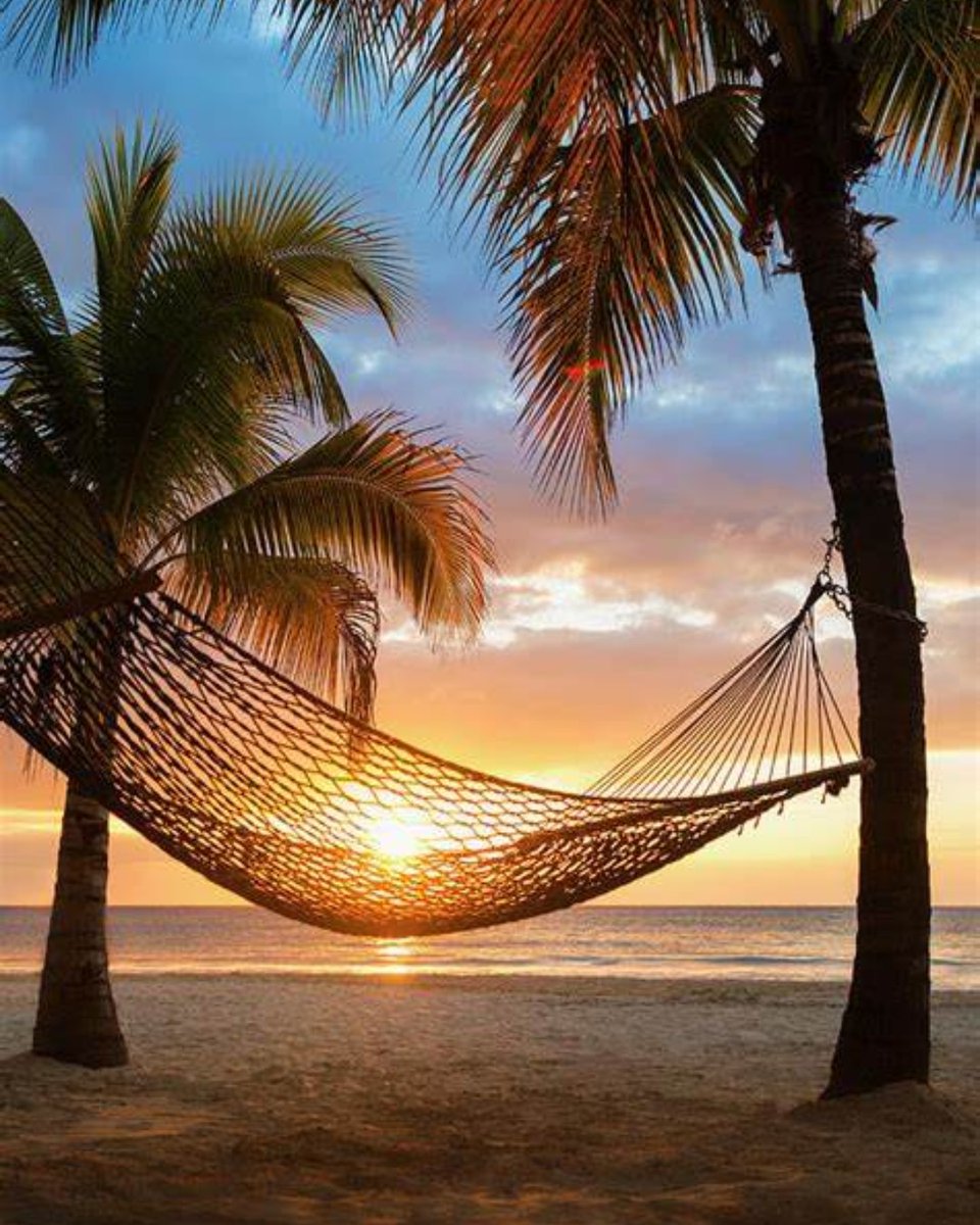 Take a break this #NationalHammockDay and let yourself relax in the sun. From the Mayans to today, hammocks have stood as a universal symbol of summer, leisure, and easy living. Let's all enjoy this timeless tradition!  #hammocktime #summerleisure #summervibes #relax