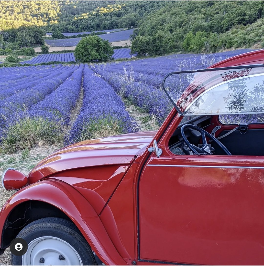 lifefrance's tweet photo. It's Your Photos Saturday! Share your photos of France for all to enjoy, be inspired by & daydream...
๐ท Lavender fields of Provence @vauclusedreamer; Sunflowers in Charente @chezlesbons; Collioure, southern France @TheIndieTripper
#thegoodlifefrance https://t.co/qySOVCYIwY