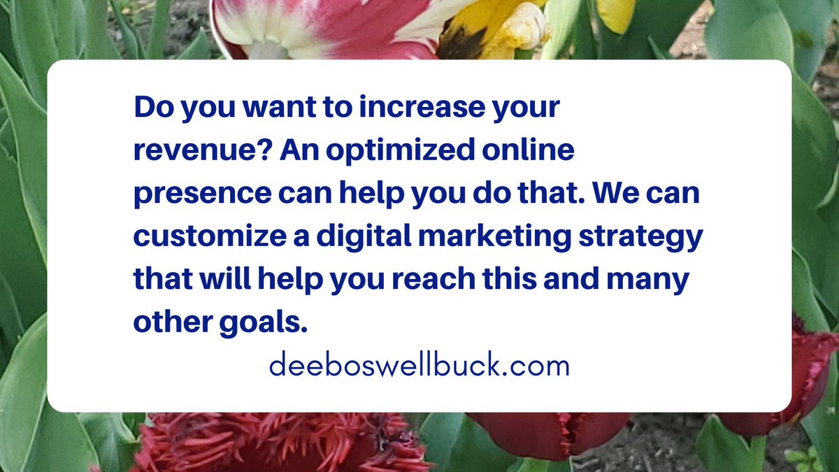 Do you want to increase your revenue? An optimized online presence can help you do that. We can customize a digital marketing strategy that will help you reach this and many other goals. 
buff.ly/3O2TipP

#digitalmarketingtips #torontobusiness #canadianbusiness