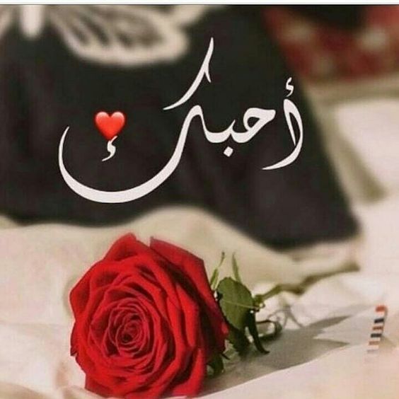 FAlnjfyt's tweet photo. @Mu_AlSadr ااااأحبك ااااأحبك ااااأحبك ااااأحبك ااااأحبك ااااأحبك ااااأحبك ااااأحبك ااااأحبك ااااأحبك ااااأحبك ااااأحبك ااااأحبك ااااأحبك ااااأحبك 😘😘😘😘😘😘😘😘😘😘😘😘😘😘😘😘😘😘😘😘😘🌹🌹🌹🌹🌹🌹🌹🌹🌹🌹🌹🌹🌹🌹🌹🌹🌹🌹🌹🌹🌹 https://t.co/StGOFyyur3