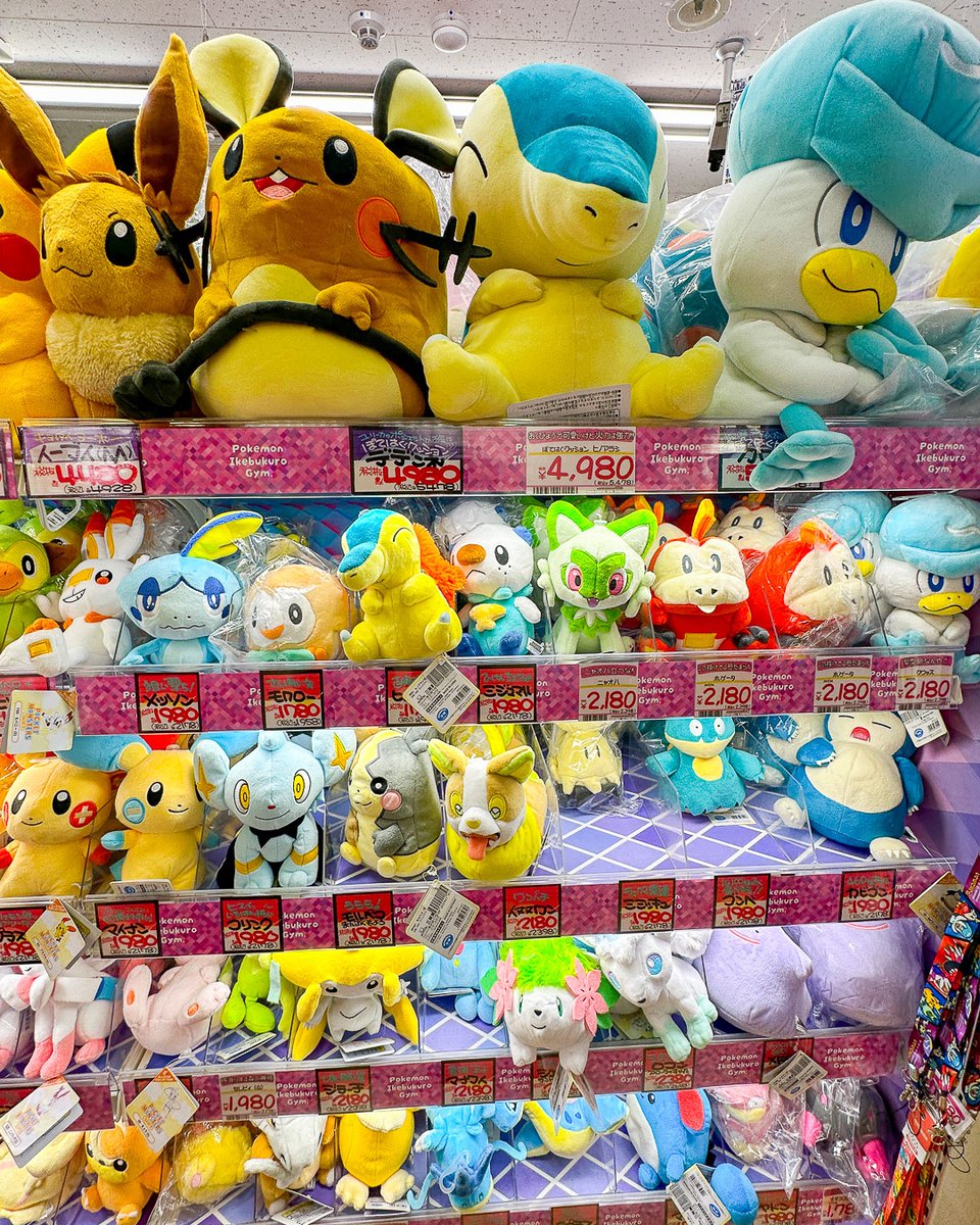 🤫 Can you name them all? 😍 

#pokemon #pokemonplush #pokemonplushies #pokemoncollector #pokemoncollection