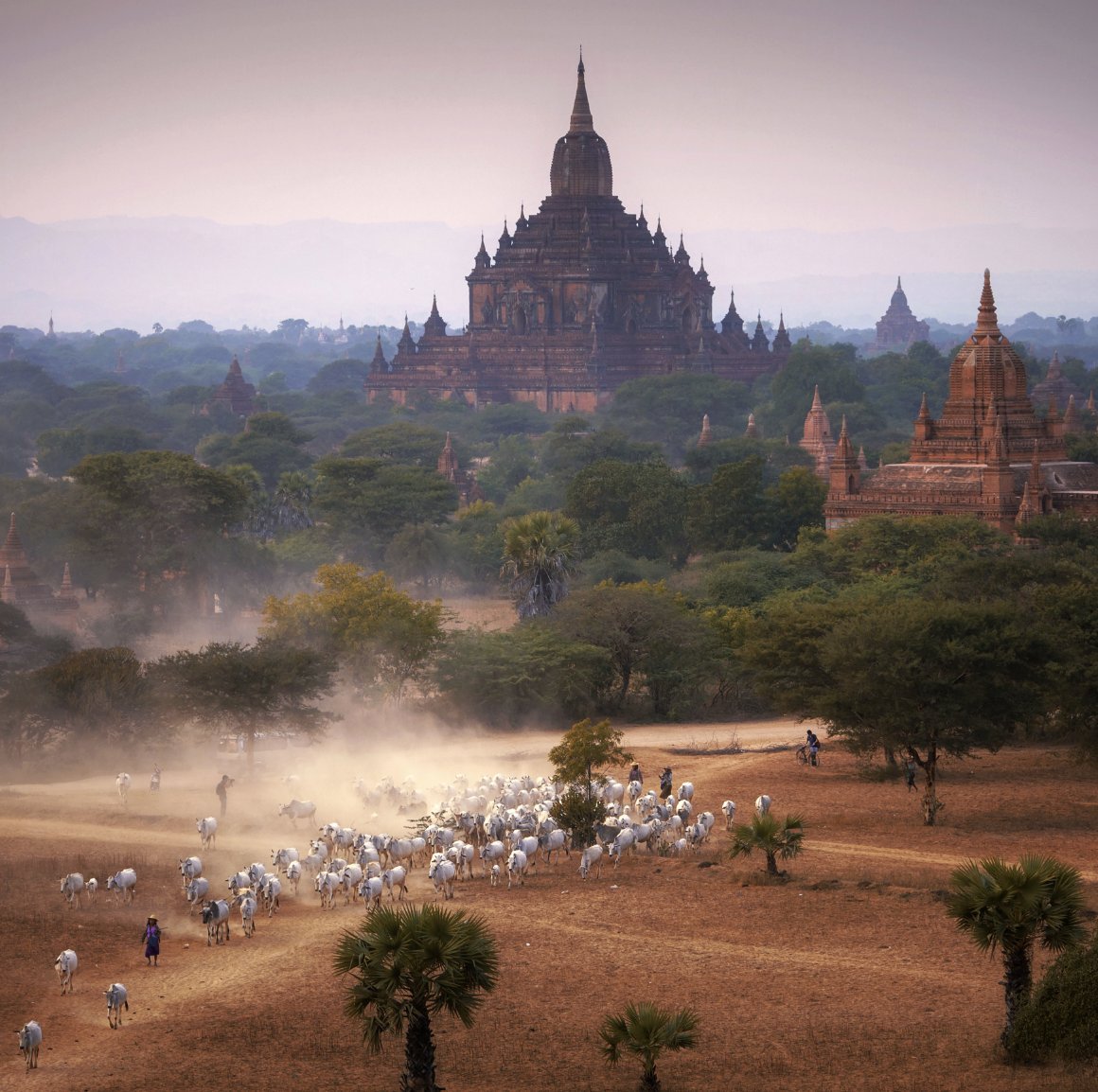 Architecture tells us a story about time, heritage & culture. 

The unique history of architecture along the #SilkRoads is reflected here through the plains of Bagan, Myanmar. 

Capture your best photo & enter the #UNESCOSilkRoads Photo Contest! unescosilkroadphotocontest.org