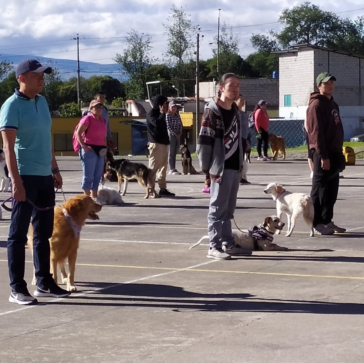 agentesdequito's tweet photo. 🐕‍🦺#QuitoResponsable| Inauguramos el Curso de Adiestramiento Básico Canino "Soy lo que tú me enseñas" con un total 220 participantes.

🤝🏼Apoyamos la tenencia responsable de animales de compañía.

#SomosAgentesDeQuito👮
#QuitoRenace con responsabilidad. https://t.co/2cuEnhICiF