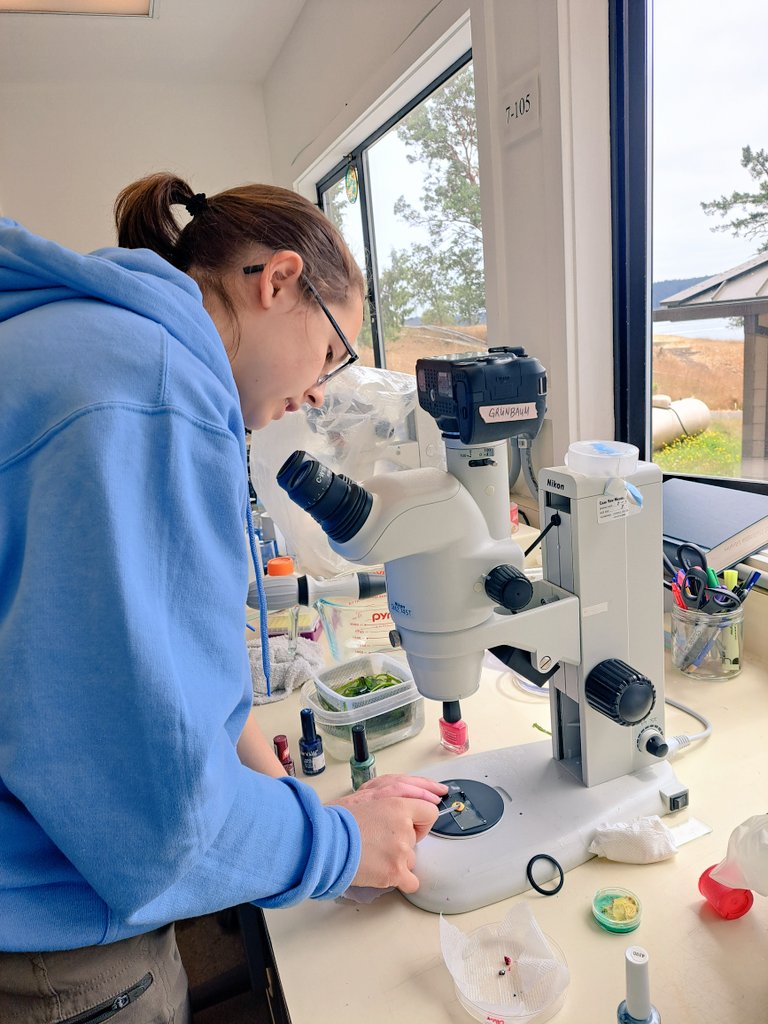 Karen Chan tweet media