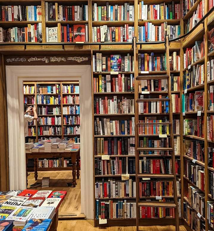 En la biblioteca hallas aliento y respuestas. Los libros, compañeros en la tristeza y la alegría, esconden personas que te guían y consuelan.