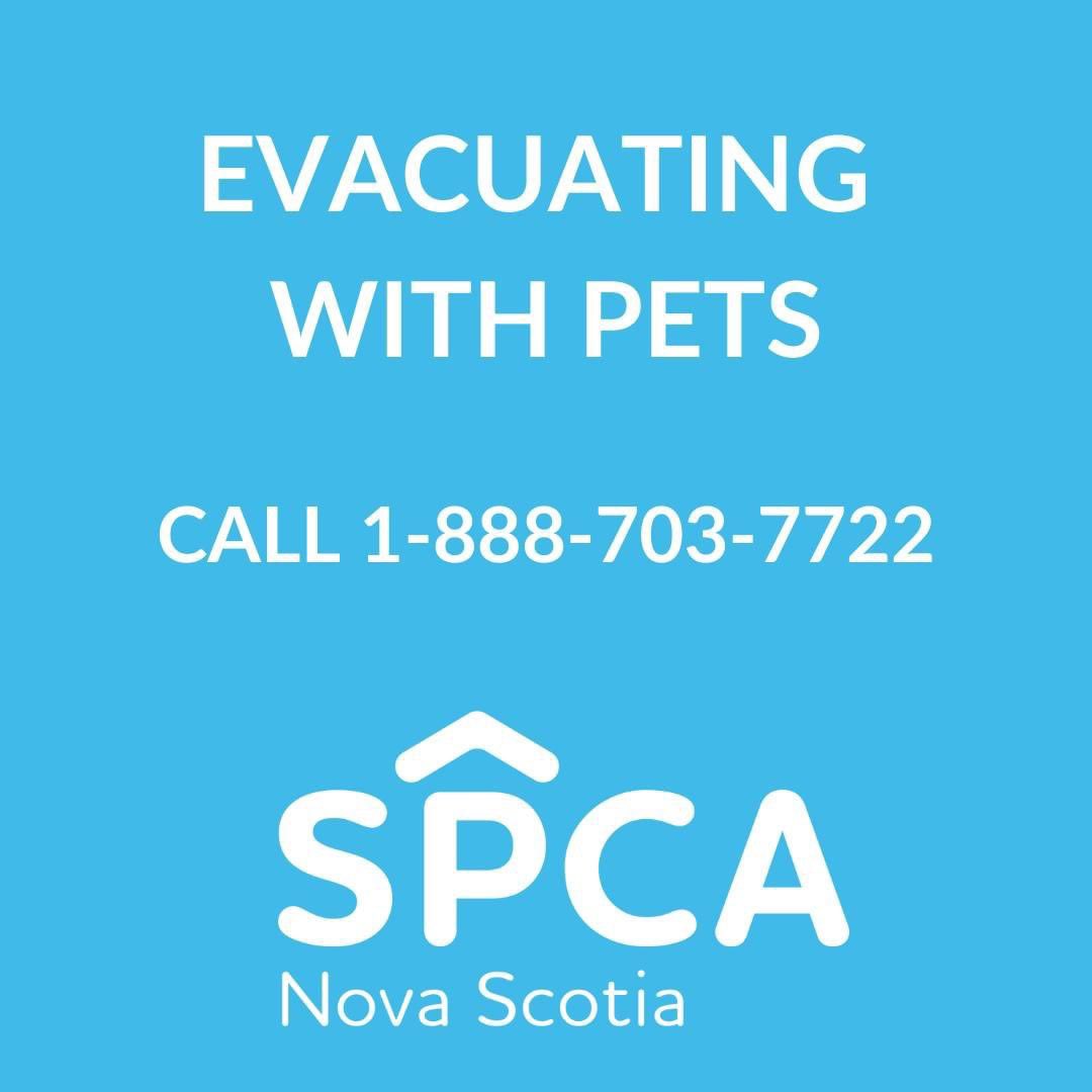 We are here to help. If you are under an evacuation order, and need a place for your pets, please call 1-888-703-7722. Please do not show up to a shelter, call first.