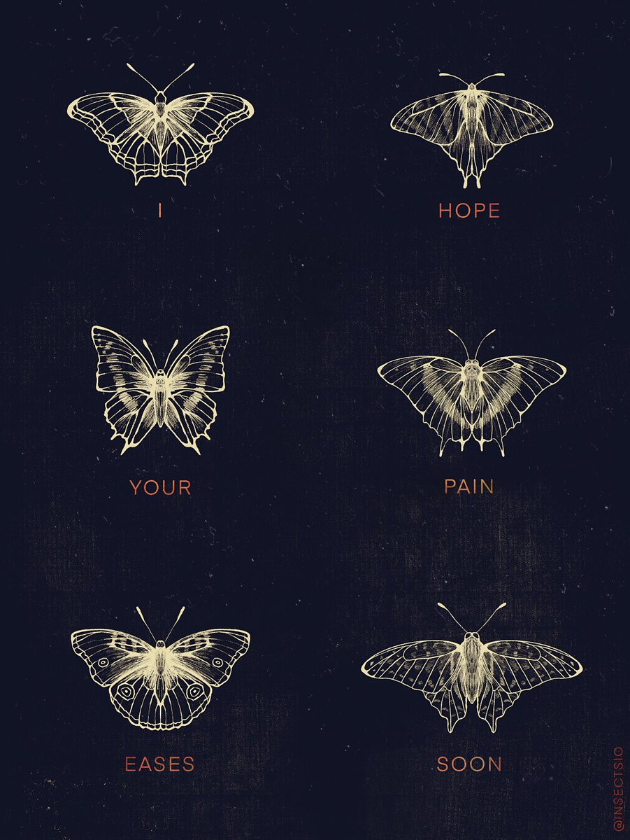 Insectsio tweet picture