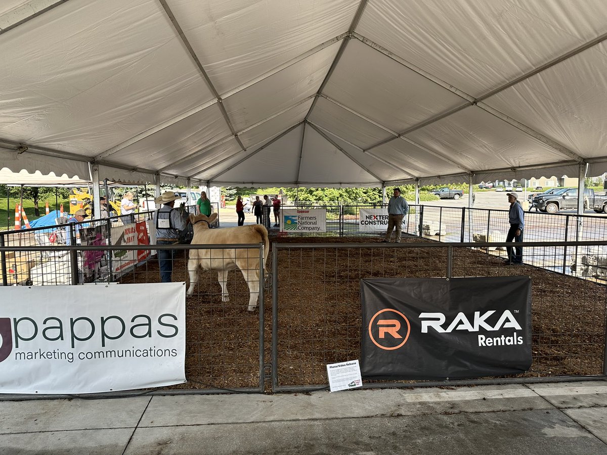 DouglasCoFairNE's tweet photo. Our Cattle Show kicks off our 2023 Douglas County Fair this morning. Come visit us at the @RalstonArena starting at 10:00 AM. @KETV @WOWT6News @3NewsNowOmaha  #DCF2023 #Omaha #DouglasCounty https://t.co/HhrU8wRgkc