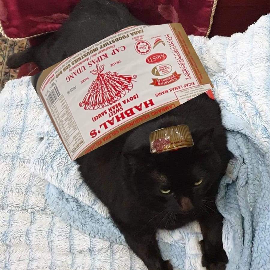 ulat_bulu_bulu's tweet photo. Produk kicap tiruan dikenalpasti. Salah beli boleh berkicap tangan dicakar. https://t.co/q8zJNsPRvT