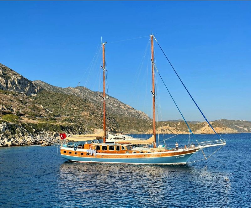 Guldenirmak's tweet photo. MAVI Travel is Travellife partner! - Read our newsletter (text in Dutch)  https://t.co/XHMsteYX9h https://t.co/OMrKOXkYlF