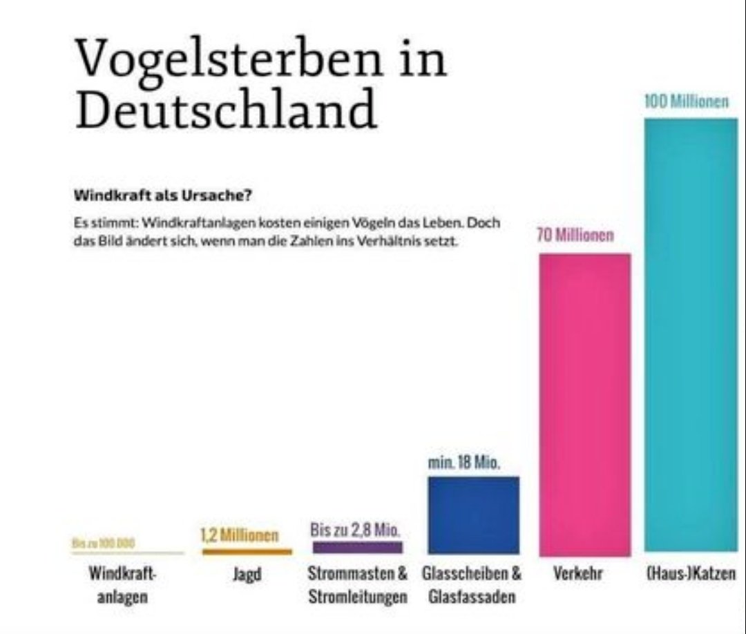 Jeroen Baert tweet media