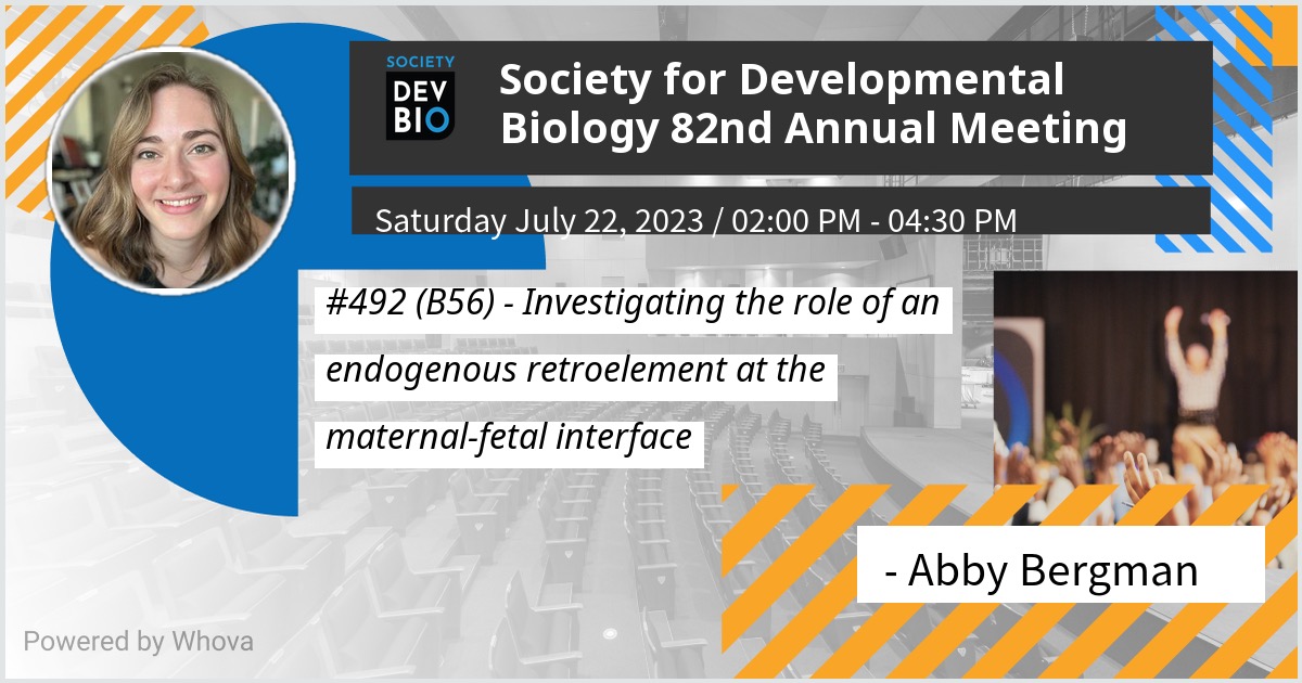 Abby Bergman tweet media