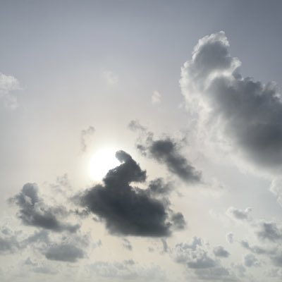 Alphaomar2021's tweet image. #NewProfilePic