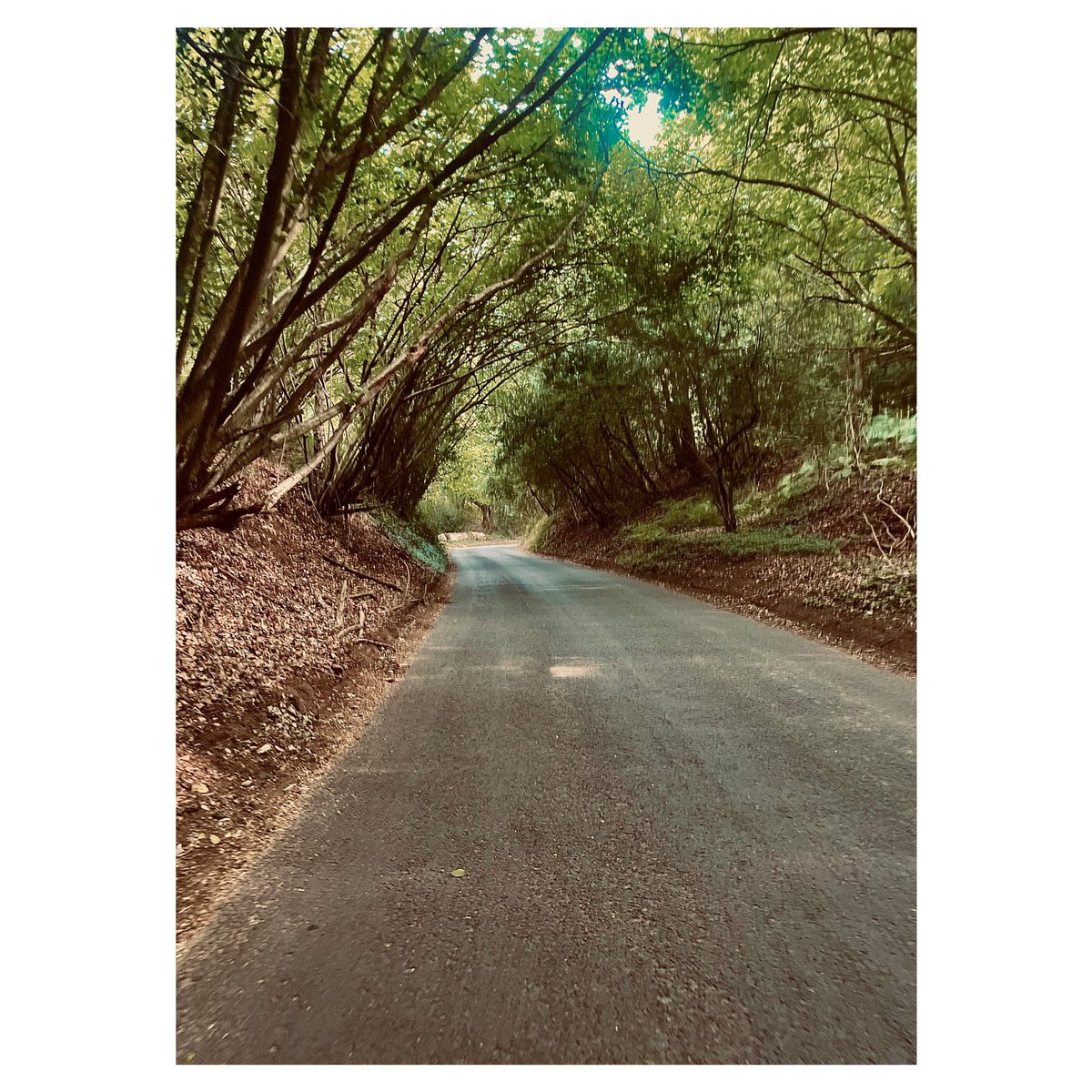 jferg_76's tweet photo. Hills, hills and one more hill for good measure #bikelife #elevation #surreyhills #timetoride #lecol @LeColUK https://t.co/LKFSUyQlHw