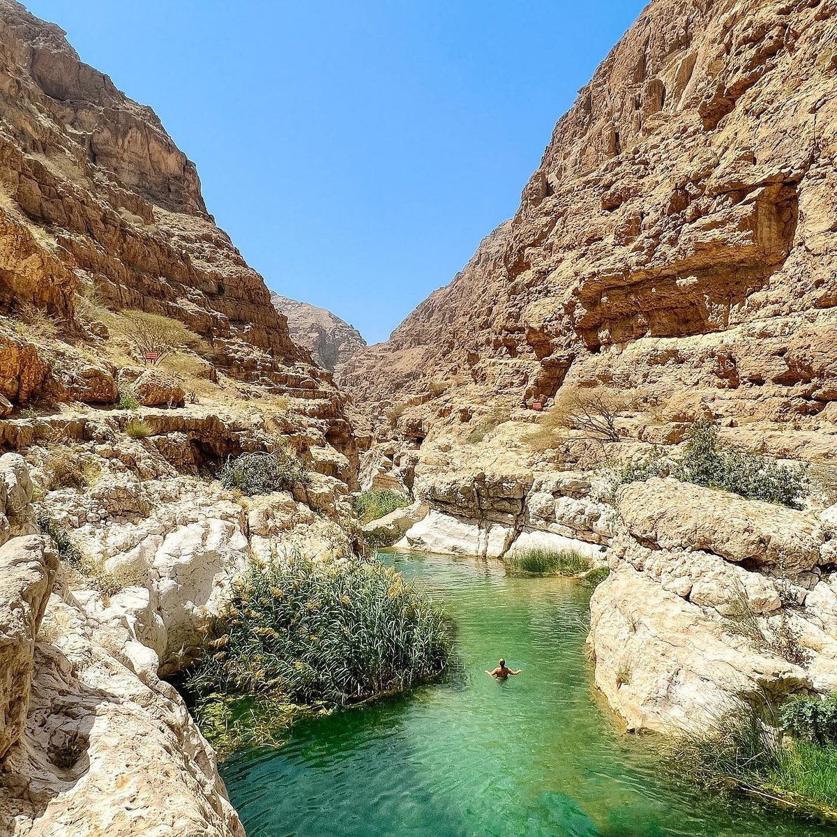 ViatorTravel's tweet photo. Dive into the oasis of Wadi Shab - an Oman highlight! 🇴🇲💦 Get ready to swim in crystal-clear waters, explore caves, and hike the canyon for jaw-dropping views.👀🌴
🔗Find more of Oman's oases👇 https://t.co/5PnWvhkuS1
📷tomakubiliute
#DoMoreWithViator #DisabilityPrideMonth https://t.co/F2bOgvIBJG
