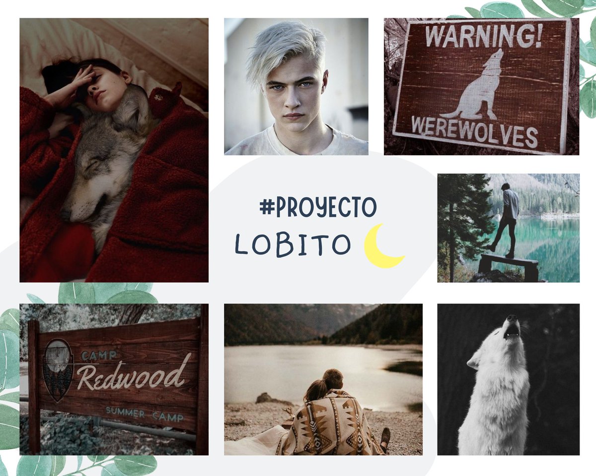 Lyla G. 🌸 tweet media