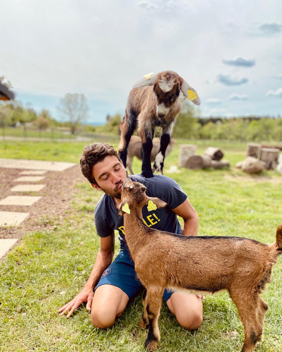 IbisEvans's tweet photo. @LeTour @ThibautPinot Soon he'll play with his goats...... https://t.co/rPAKuIld0G