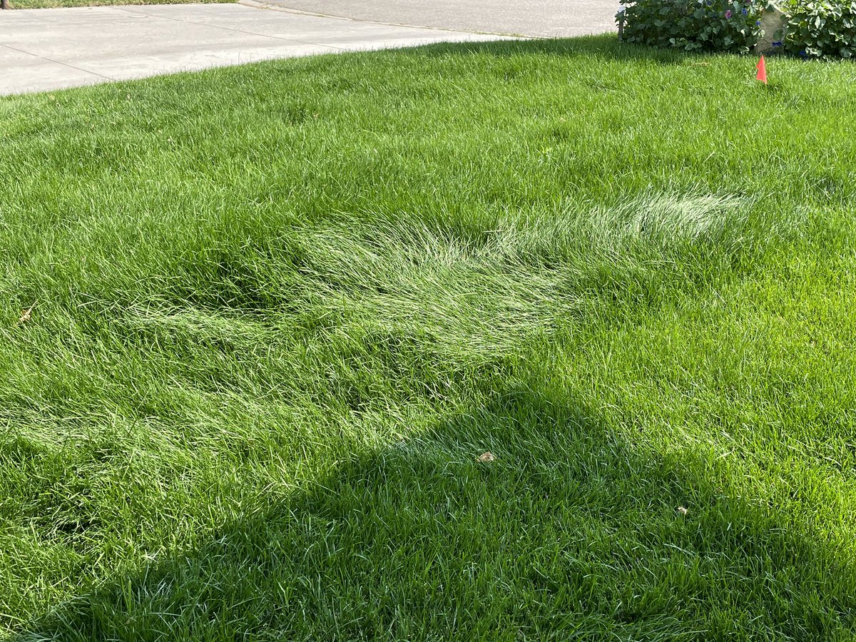 Robert Klewchuk tweet media