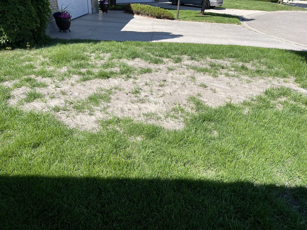 Robert Klewchuk tweet media