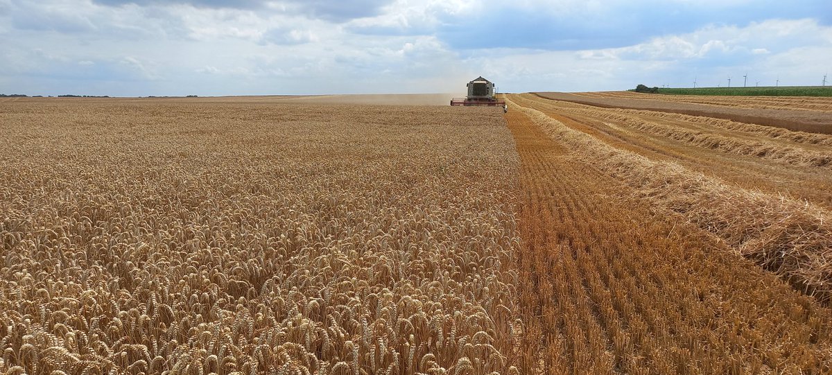 Vincent GREGOIRE tweet media